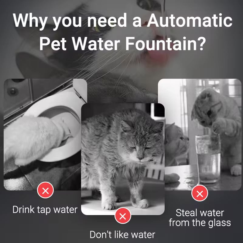 Fontaine à eau intelligente pour animaux de compagnie
