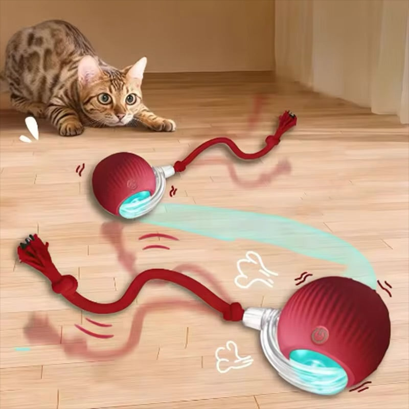 Jouets pour chat, électronique