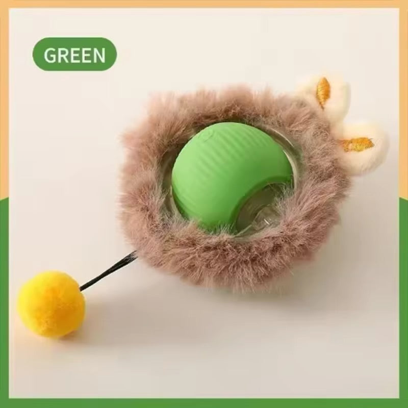 Jouets pour chat, électronique