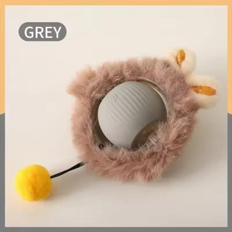 Jouets pour chat, électronique