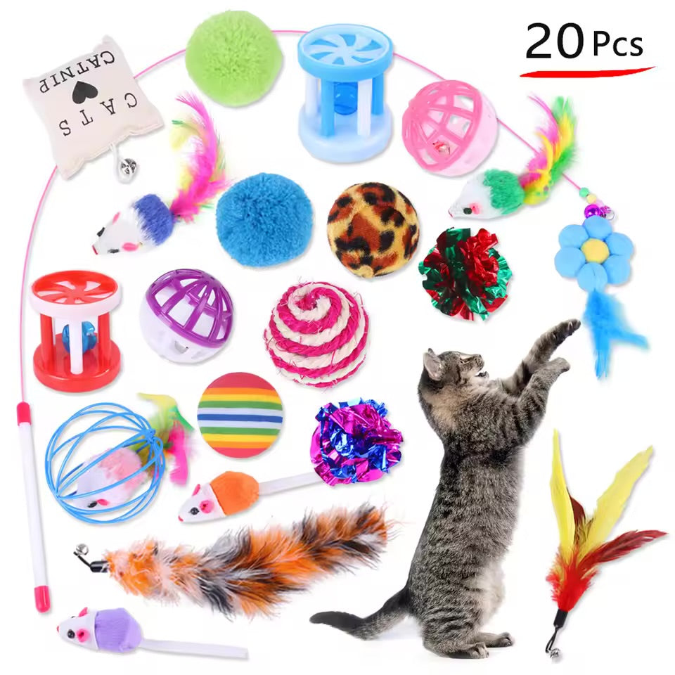 Jouets pour chaton, variété de jouets pour chat