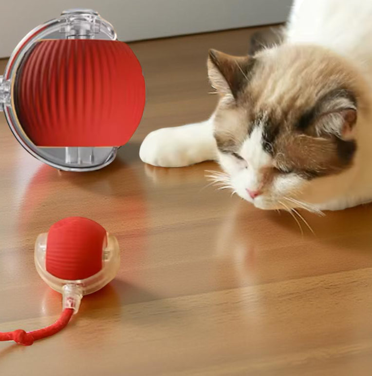 Jouets pour chat, électronique