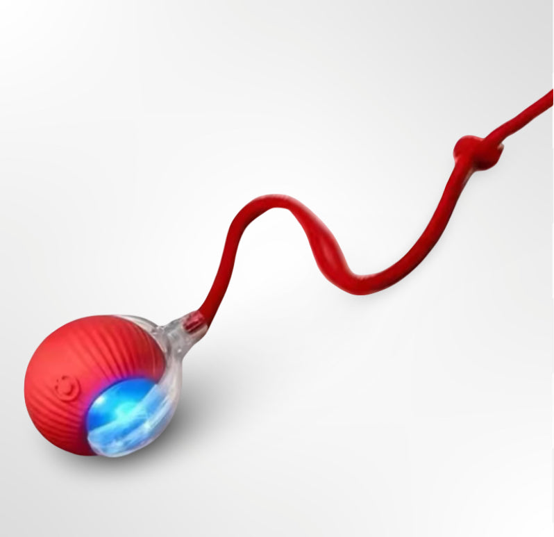 Jouets pour chat, électronique