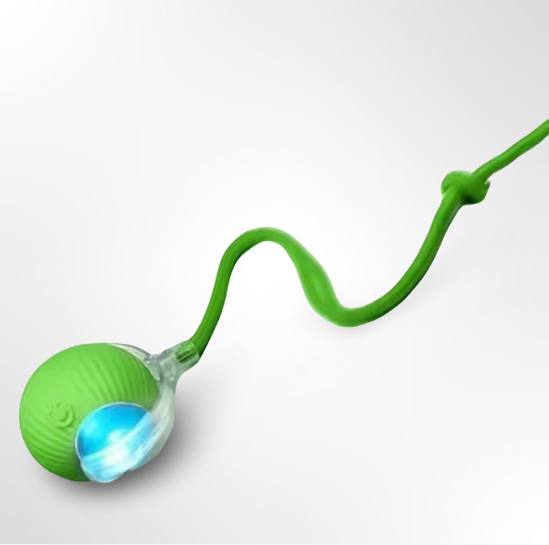 Jouets pour chat, électronique