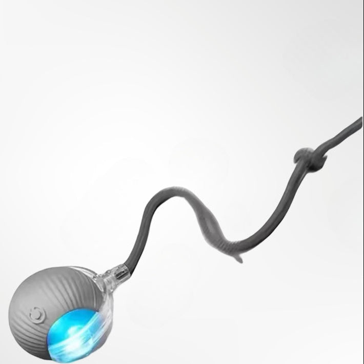 Jouets pour chat, électronique